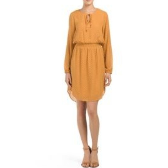 Daniel Rainn Dresses & Skirts - Daniel Rainn Cream Chevron Swiss Dot Dress